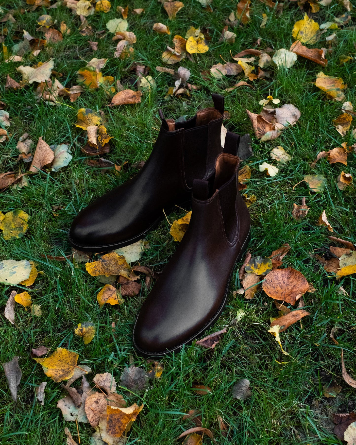 Elfvik Chelsea boots in dark brown calf leather with a smooth finish, elastic side panels, and pull tabs, displayed outdoors on grass scattered with autumn leaves.